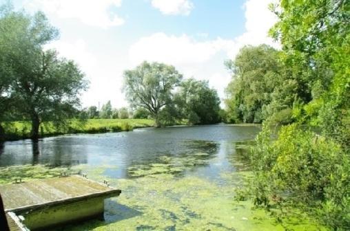 Le Cottage De L'Heron Moulle Esterno foto